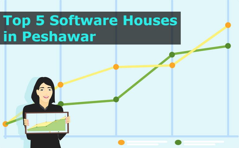 top 5 software houses in Peshawar