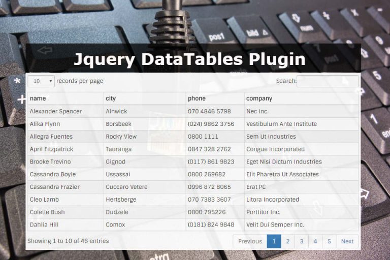 Jquery Datatables Plugin